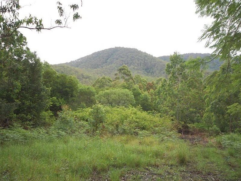 164 Connollys Creek Road, Mount George NSW 2424