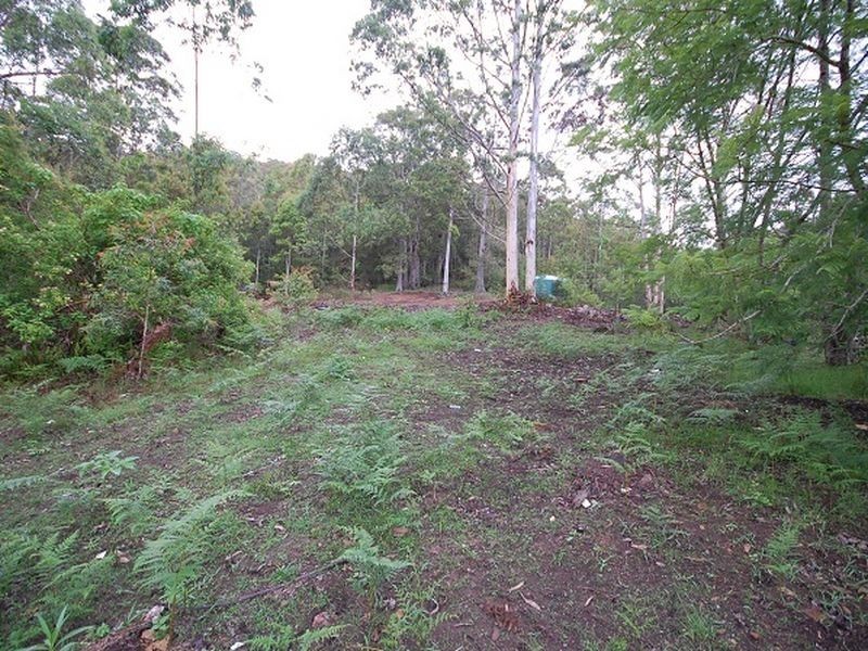 164 Connollys Creek Road, Mount George NSW 2424