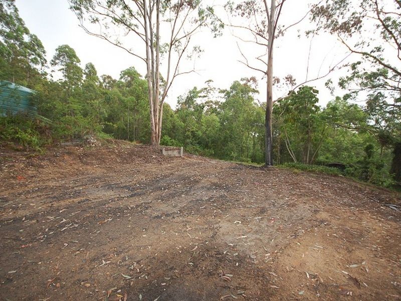 164 Connollys Creek Road, Mount George NSW 2424