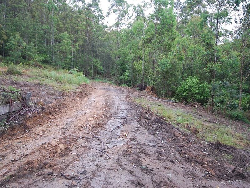 164 Connollys Creek Road, Mount George NSW 2424