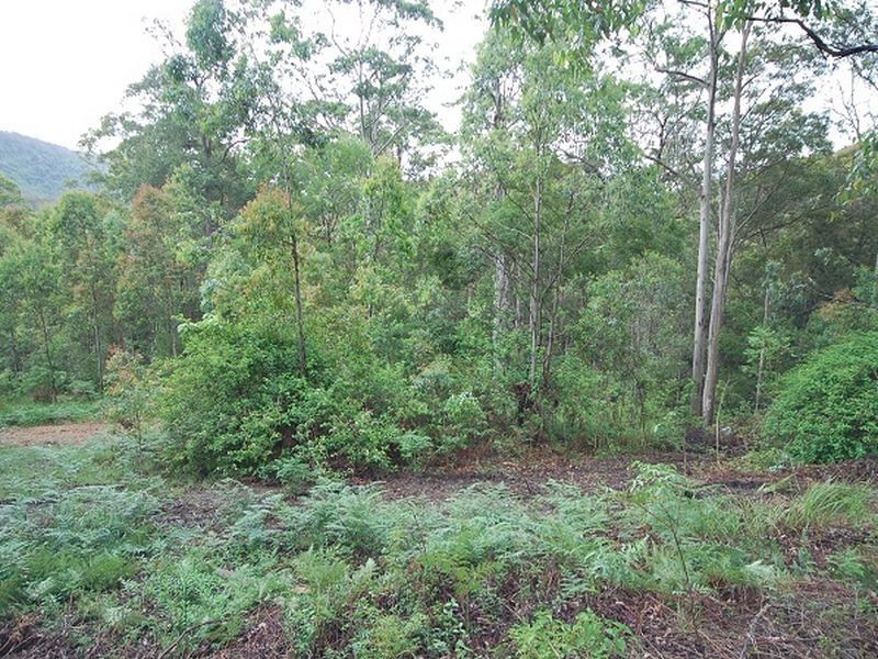 164 Connollys Creek Road, Mount George NSW 2424