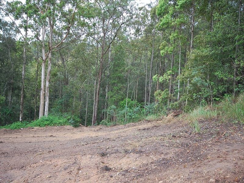 164 Connollys Creek Road, Mount George NSW 2424