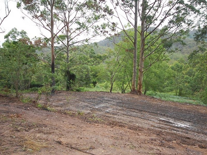 164 Connollys Creek Road, Mount George NSW 2424