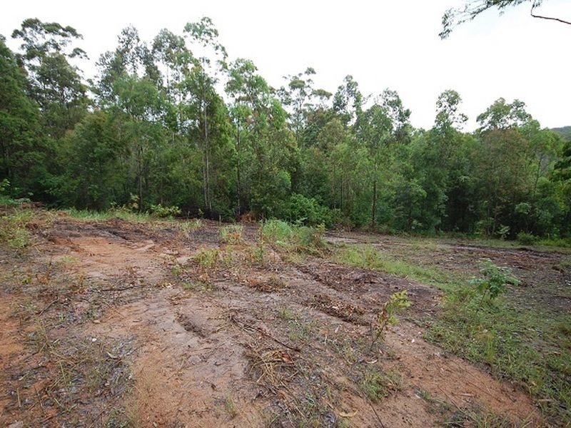 164 Connollys Creek Road, Mount George NSW 2424