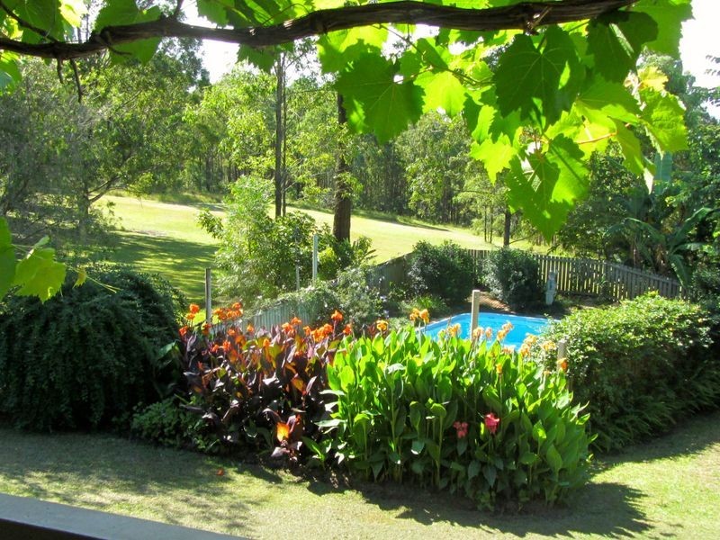 Burrell Creek NSW 2429