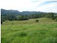 Killabakh NSW 2429