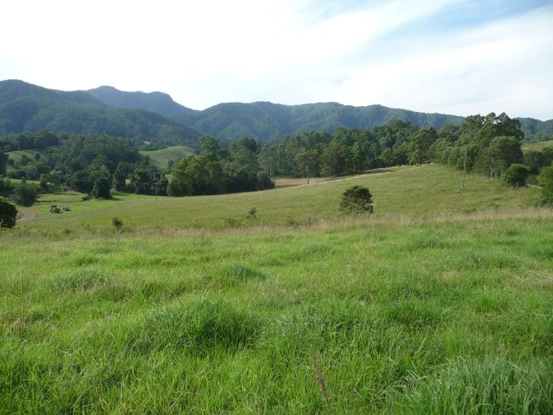 Killabakh NSW 2429