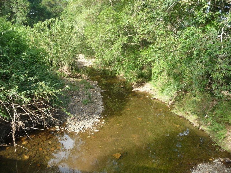 Killabakh NSW 2429