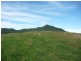 Killabakh NSW 2429