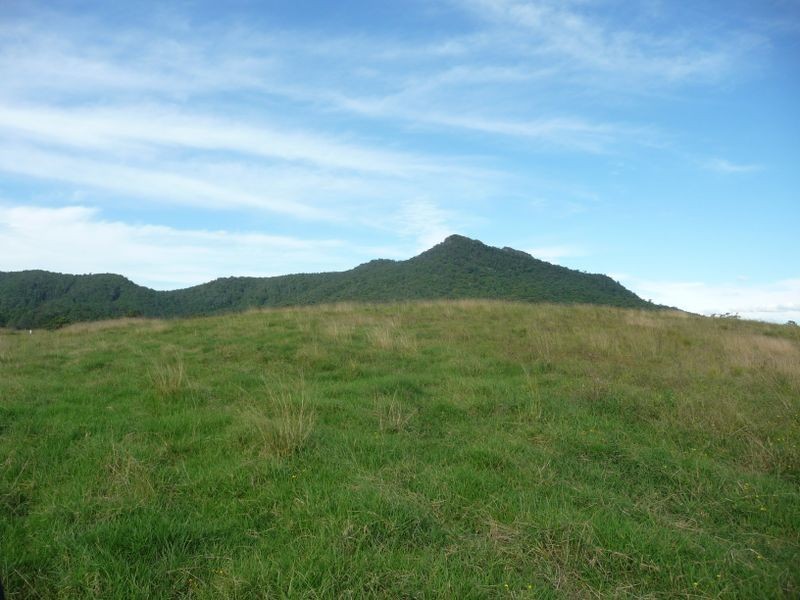 Killabakh NSW 2429