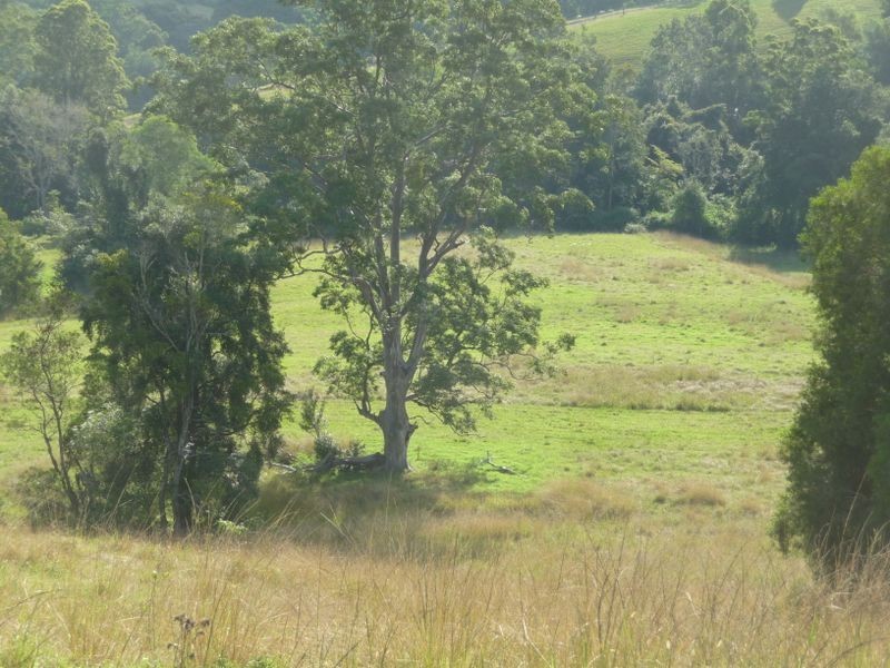 Killabakh NSW 2429