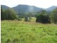 Killabakh NSW 2429