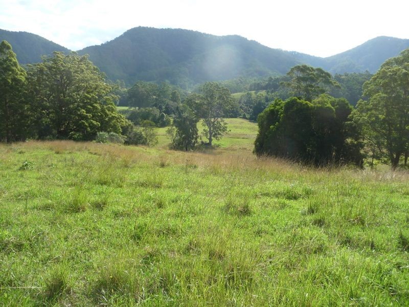 Killabakh NSW 2429
