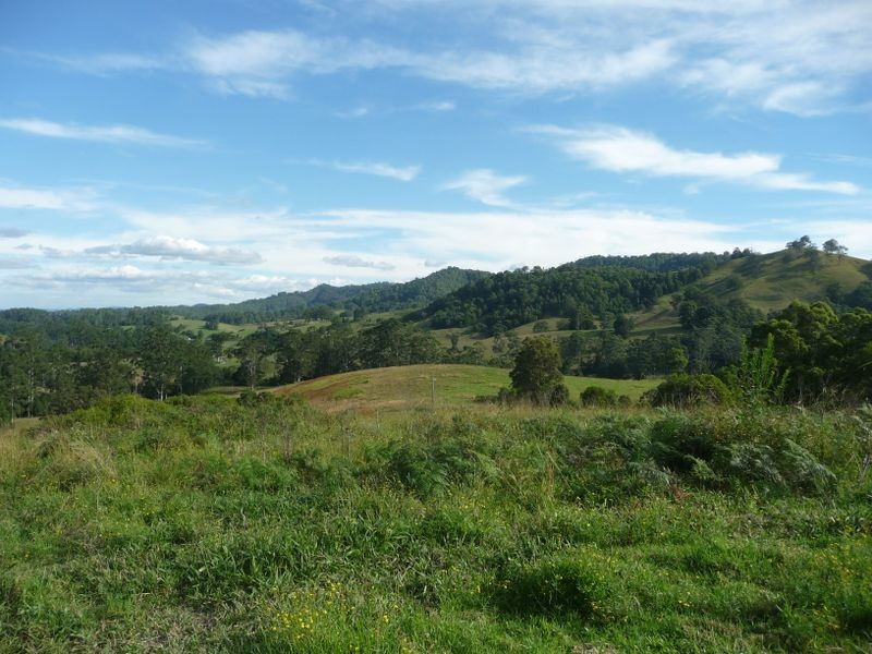 Killabakh NSW 2429