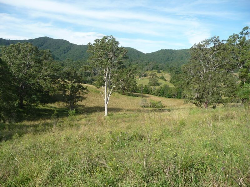 Killabakh NSW 2429