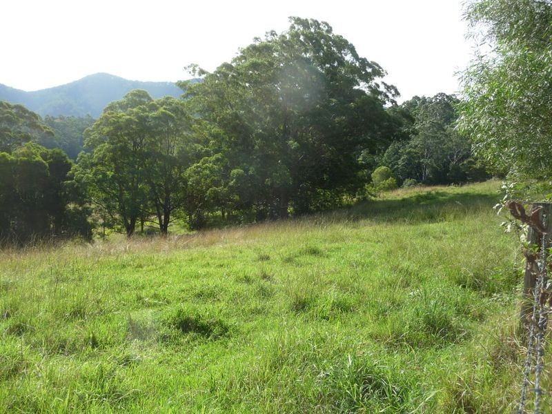 Killabakh NSW 2429