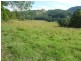 Killabakh NSW 2429