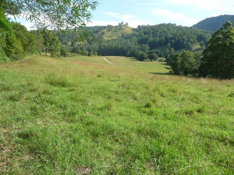 Killabakh NSW 2429