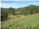 Killabakh NSW 2429