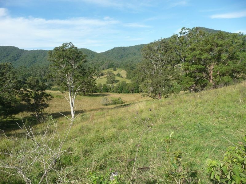 Killabakh NSW 2429