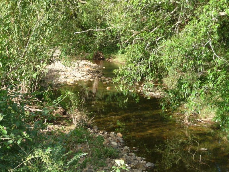Killabakh NSW 2429