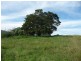 Killabakh NSW 2429