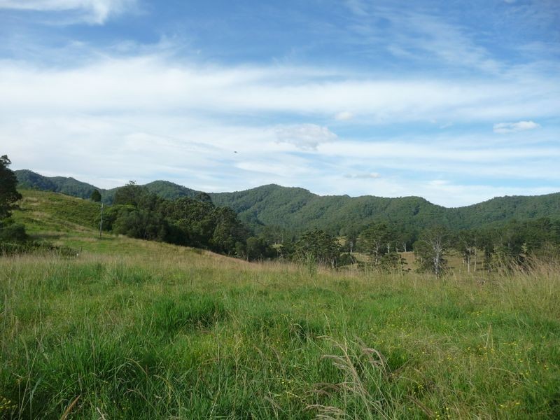 Killabakh NSW 2429