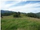Killabakh NSW 2429