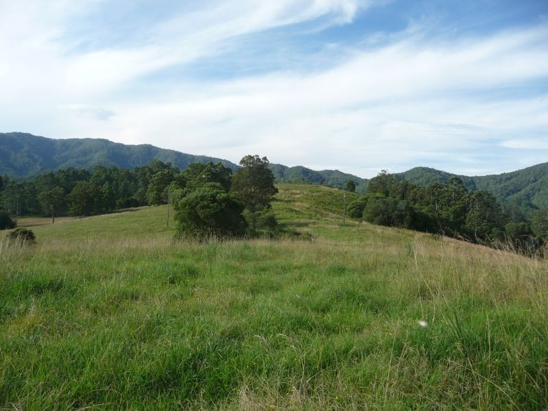 Killabakh NSW 2429