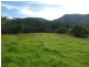 Killabakh NSW 2429