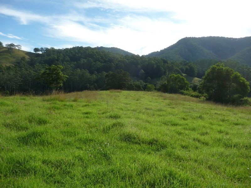 Killabakh NSW 2429