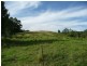 Killabakh NSW 2429
