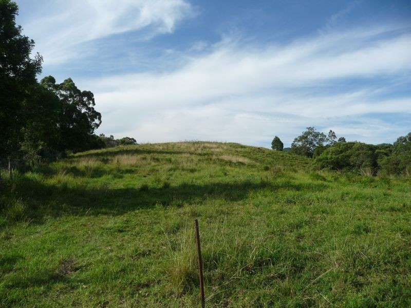 Killabakh NSW 2429