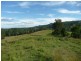 Killabakh NSW 2429