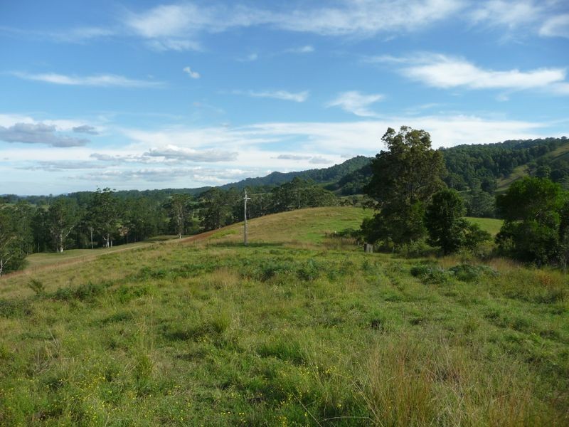 Killabakh NSW 2429