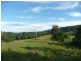 Killabakh NSW 2429