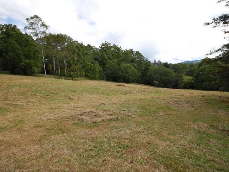 Mount George NSW 2424