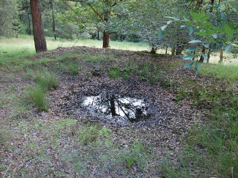 Mount George NSW 2424