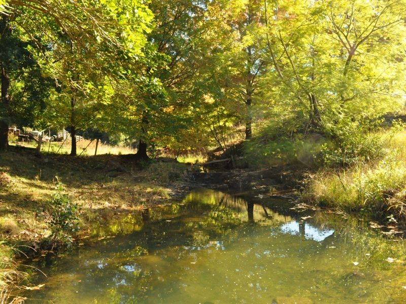 Wherrol Flat NSW 2429