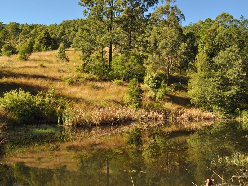 Wherrol Flat NSW 2429