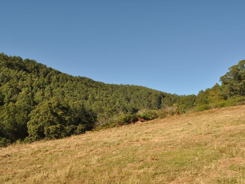 Wherrol Flat NSW 2429