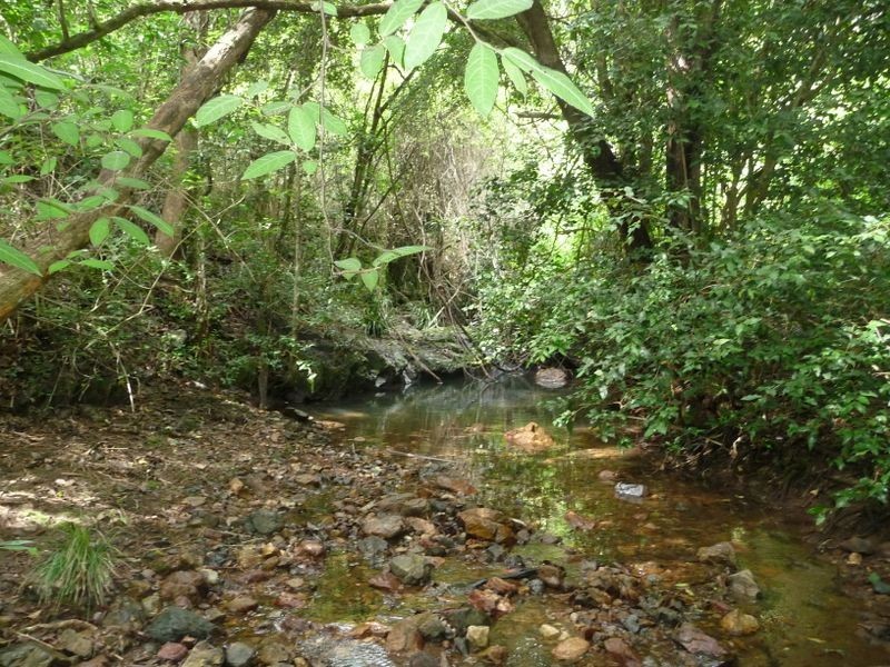 Wherrol Flat NSW 2429