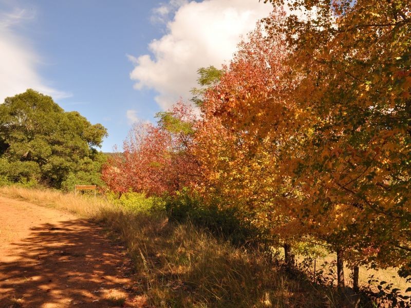 Wherrol Flat NSW 2429