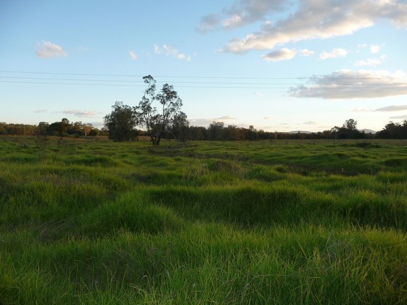 Pampoolah NSW 2430