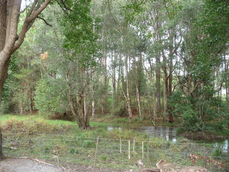 22 Thomas Street, Johns River NSW 2443