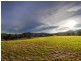 192 Middlebrook Road, Wingham NSW 2429