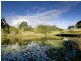 192 Middlebrook Road, Wingham NSW 2429