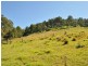 Caffreys Flat NSW 2424