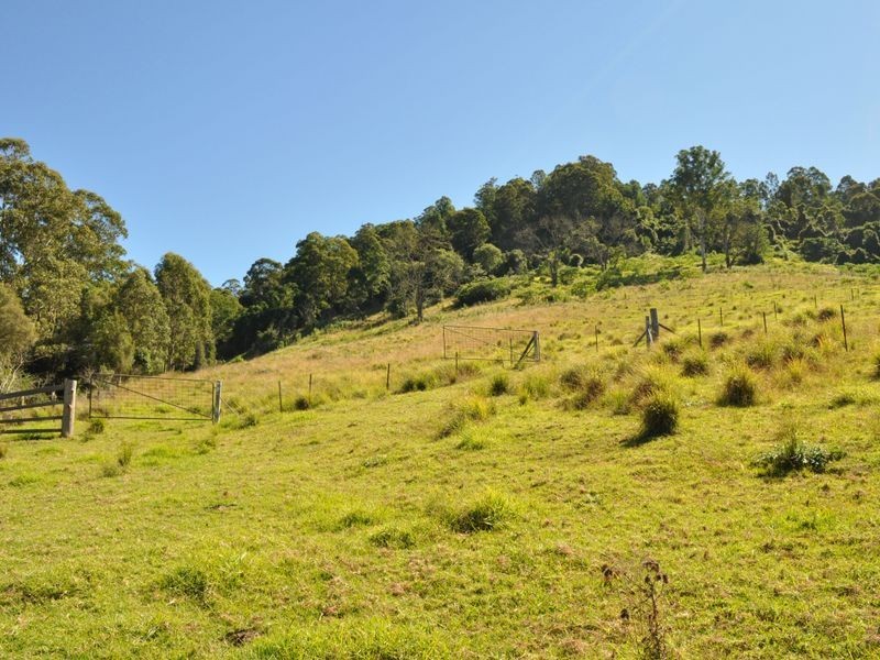 Caffreys Flat NSW 2424