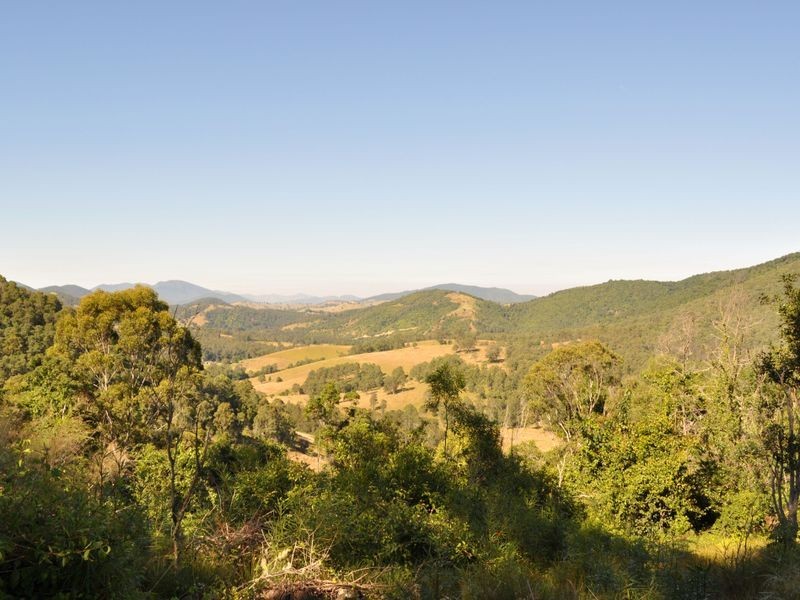 Caffreys Flat NSW 2424